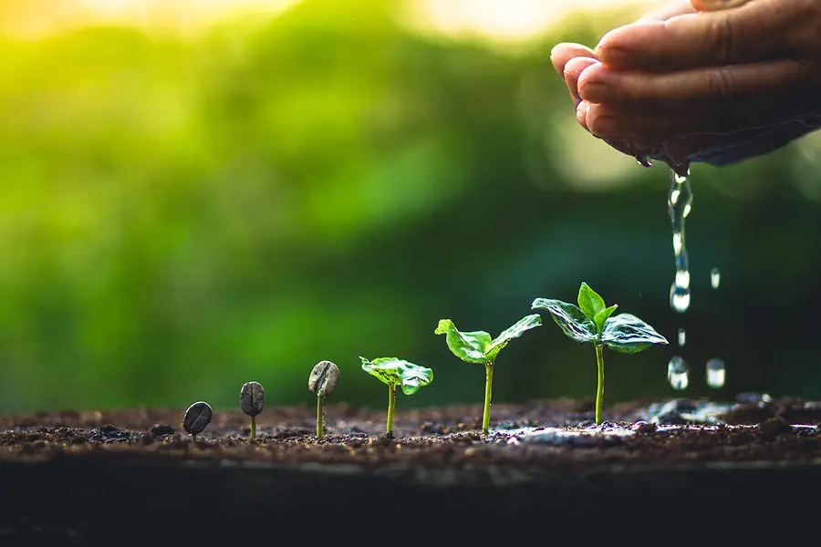 The Power of Change: Turning Uncertainty into Purpose